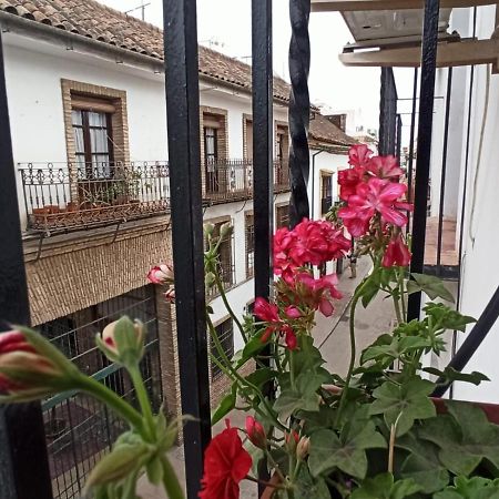 La Antigua Posada 33 Apartment Cordoba Ngoại thất bức ảnh