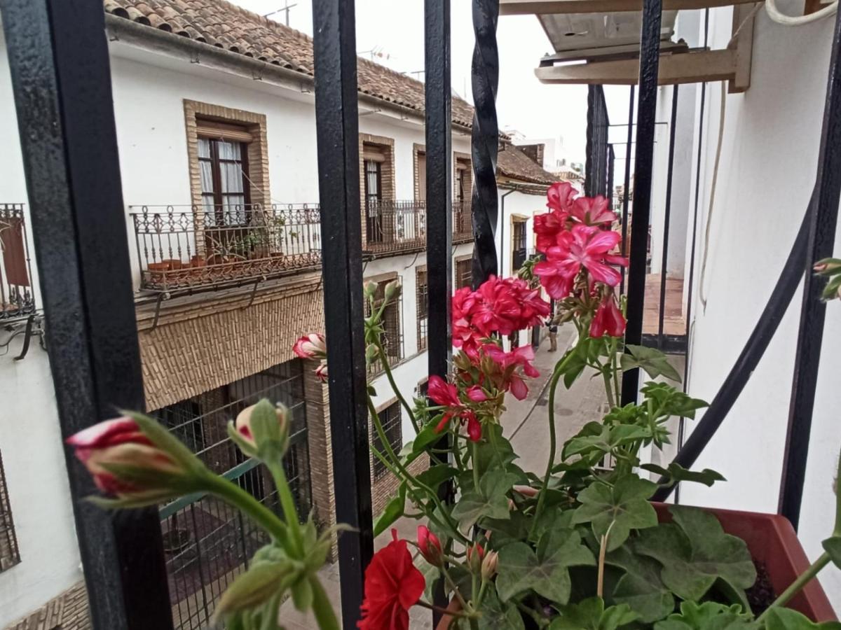 La Antigua Posada 33 Apartment Cordoba Ngoại thất bức ảnh